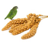 Carton Box Yellow Millet Spray Feeding Birds