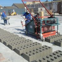 Diesel Egg Laying Machine with Concrete Blocks price combined Manual Brick Making Machine