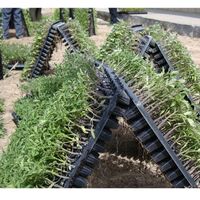 200 cell germinated plant propagation tray