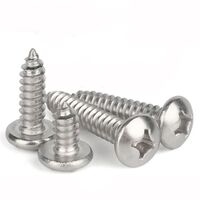 Promotional High Quality Fastener Screws High Precision Pan Head Self Tapping Screws