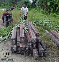 solid wood fresh indian wood/ebony square wood