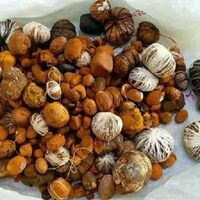 Selling high quality gallstones / cow gallstones / 100 % whole cow gallstones