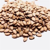 High-quality crops black dry fried roasted watermelon watermelon seeds