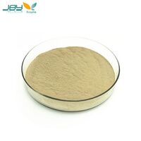 Wide temperature denim wear-resistant high-concentration bio-polishing neutral cellulase powder for denim washing