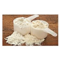 Wholesale low price bulk casein powder