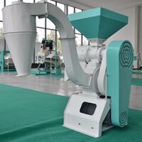 500kg/h corn peeling and degerming machine