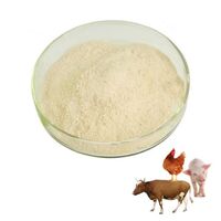 Phospho-solubilizing chicken enzyme thermostable phytase