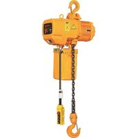 1 ton 2 ton 3 ton 5 ton electric chain hoist for crane
