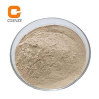 Wholesale food grade serrapeptase