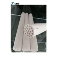 MF, UF Ceramic Membrane Filters for Casein Concentration