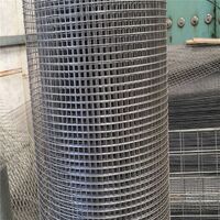 High Quality Hot-Dip Galvanized Steel Welded Bird Net