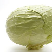 New China 2020 Crop Spherical Cabbage Zhangjiakou Origin