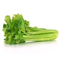 Fresh Vegetables Fresh Celery Cabbage - Contact Now for Best Price