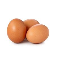 Best price quality eggs
