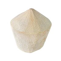 GlobalGAP Certified Fresh Diamond Coconut
