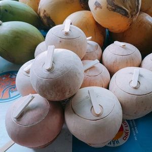 Best Price for Fresh Coconuts in Vietnam (WHATSAPP +84 845 639 639)