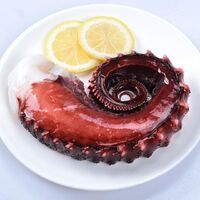 Wholesale Prices Frozen Octopus Tentacles Devilfish Frozen Octopus