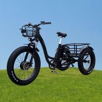 OEM custom fat tire electric tricycle bicycle tricycle cargo 3 wheels for sale