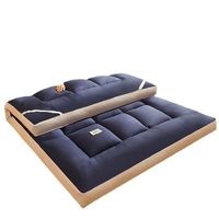 Hotel three-dimensional mattress thickened cushion mattress manufacturers wholesale