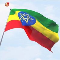 High Quality Cheap 3x5 Feet Customizable Size Ethiopian Flag Flag