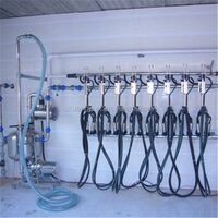 Simple Barn Milking Parlor System for Dairy Farm