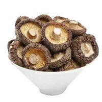 dried shiitake mushrooms dried shiitake mushrooms price per kg