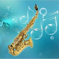 Project of exporting American alto saxophone saxophone woodwind instruments