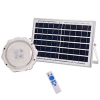 House Cheap Lights Outdoor Garden Lighting LED Exterior Pendant Lights Exterior High Indoor Solar Ceiling Lights For Garden
