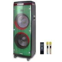 2022 new RGB light subwoofer dual woofer 12 inch dj audio party box speaker