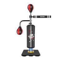 Freestanding Punching Bag Kick Boxing Standup