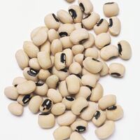 Black Eyed Peas Dried Black Eyebrowed Peas White Cowpea