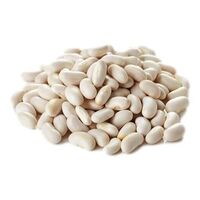 navy beans/green beans/mung beans