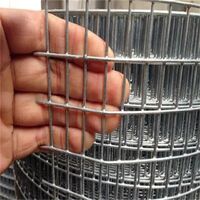 Factory Wholesale Price High Quality 1x1 Galvanized Welded Mesh/1x1 Wire Mesh Panel/Welded Wire Mesh Price