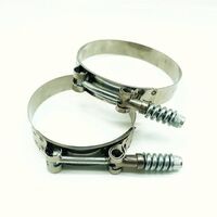 Premium Stainless Steel Tbolt Heavy Duty Hose Clamps