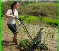 Hand Operated 2018 Xinnong Machinery 2 Rows Manual Rice Transplanter