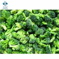 Frozen Chinese broccoli florets diced insect free X-ray inspection with SGS test report