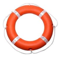 Supplier Provide Swimming Pool Water Safety High Quality Polyethylene Life Buoy