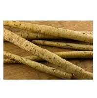 Fresh Burdock Vegetable Wholesale Low Price Supplier