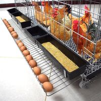 Affordable Price Design System Animal Poultry House Farm Egg Layer Chicken Cage For Broiler And Chicks