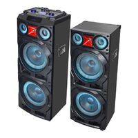 12" or 15" professional audio amplifier PA dual speaker with fm radio, wireless microphone