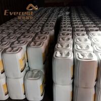 EVEREST Accelerates Plant Growth Raw Algoflash Liquid Organic Fertilizer