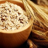 Company Price Now Hot Discounted Bulk Oatmeal Rolled Oats