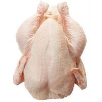 High quality Halal turkey meat for sale