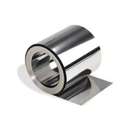 Hot/Cold Rolled Titanium Ribbon Polished Ultra Thin 0.05mm Titanium Foil for Voice Coil