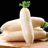 Export Fresh Organic Vegetables Chinese Organic White Radish