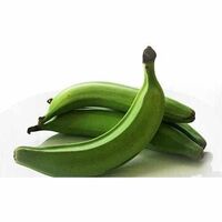 Wholesale Fresh Green Plantain Banana For Sale Raw Plantain Banana