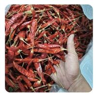 Vietnamese dry red chili at a good price//Jolene +84 336089155