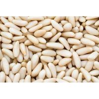 Premium Best Selling Pine Nuts