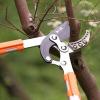 Customized professional ratchet pruning shears telescopic aluminum handle garden bypass high branch shears gear pruning shears