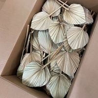 Wedding Home Party Decoration Dried Palm Leaf Fan Natural Dyed Preserved Dried Palm Leaf